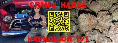 индика Лесосибирск