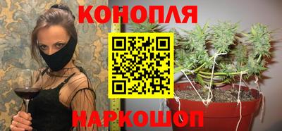 индика Лесосибирск