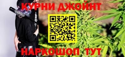 индика Лесосибирск