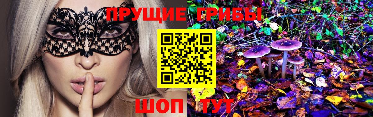 Качканар  Псилоцибиновые грибы Psilocybe  Галлюциногенные грибы мицелий  Вход с VPN 